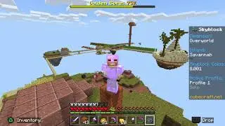 I played Minecraft Skyblock for 100 days