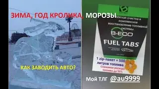 Зима Мороз Год Кролика КаК заводить АВТОМОБИЛЬ