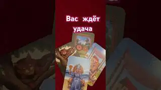 Вас ждёт удача🌞гадание на Таро онлайн