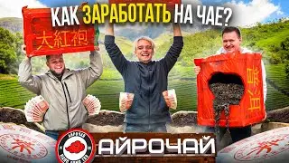 Как построить чайный бизнес? Как заработать на китайском чае?