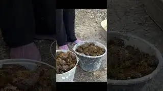 Когда в деревне нет газа 