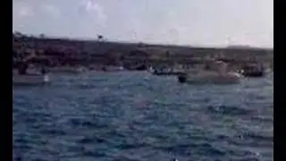 Palo di sapone Pozzuoli