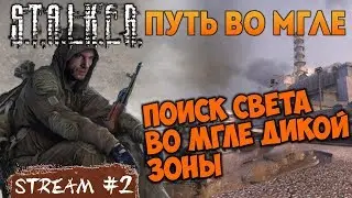 ПОИСК СВЕТА ВО МГЛЕ ДИКОЙ ЗОНЫ [