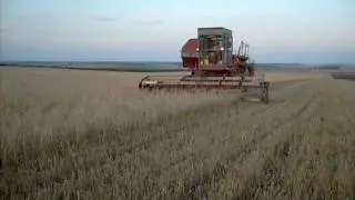 Косовица ячменя