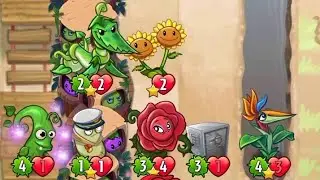Stonk⁴ + Bird Of Paradise²