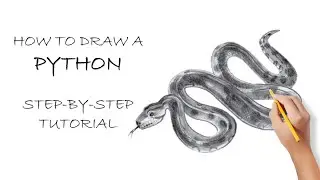 How to draw a python with a pencil step-by-step tutorial