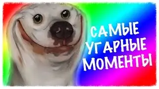САМЫЕ УГАРНЫЕ МОМЕНТЫ С КАМАТОЗОМ :D