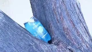 SPOT 127 Bootcamp: Soda Project - Adam Jacapraro