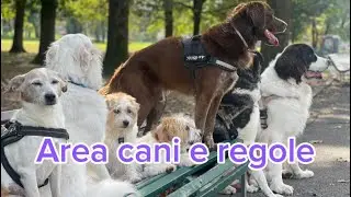 Area cani e regole