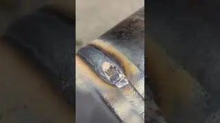 stop and start welding visual! #shortsfeed #shorts #viral #weldingcareer #reels #shortsvideo