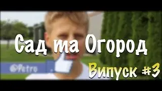 САД ТА ОГОРОД - Випуск №3 | Телеканал 3+3