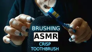 Brushing ASMR | Using Both Sides of a Toothbrush to Brush the Cover | Crisp, Sharp, Crunchy Triggers