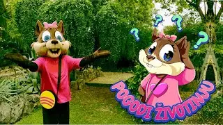 TARA I IGRA POGODI ŽIVOTINJU