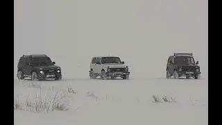 НИВЫ  VS УАЗ  ПАТРИОТ  И   SsangYong