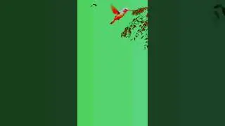 vimage Tree Effect HD green screen 