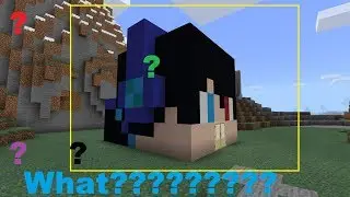 What Is Inside My Head In Minecraft!!!