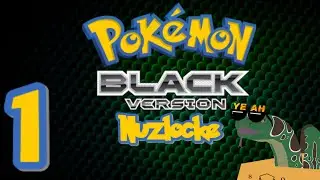 Second times the charm, right?? || Pokemon Black Nuzlocke ep. 1