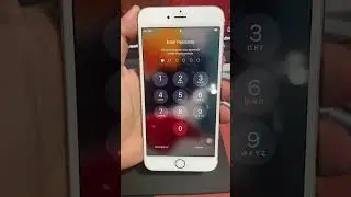 Hướng dẫn Bypass iCloud có sóng nghe gọi, iPhone bị quên mật khẩu màn hình. #vientammobile #bypass