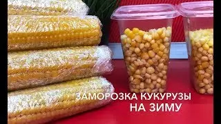Заморозка кукурузы на зиму| заготовки| заморозка продуктов