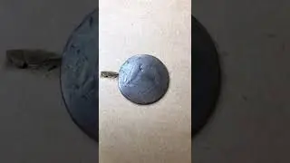 Moneda Antigua de la Revolución “Libertad En El Ordan .”