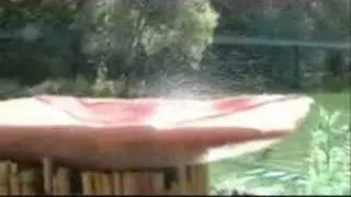 Dschungelfloßfahrt im Europa Park