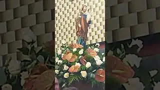 VID 20240908 174504