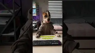 Сказки о Стаффорде #shortvideo #собака #staff #стаффорд #амстафф