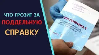 Какая ответственность грозит за поддельную справку