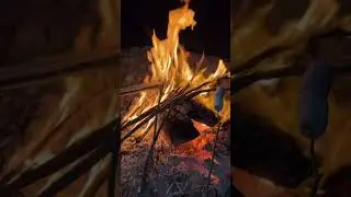 Кайфовый вечер у костра... еще бы живые песни под гитару...