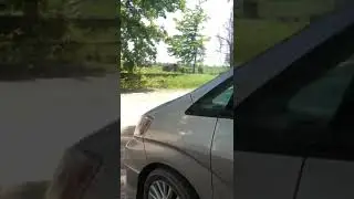 7 января 2023 г.В лесу.Чечня.