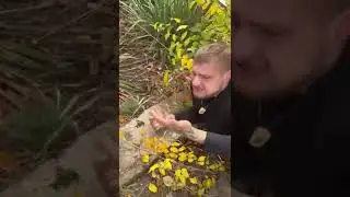 За дезертирство