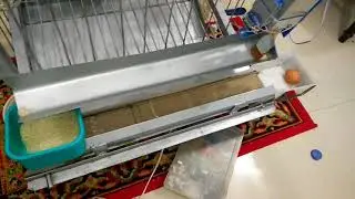 Autonomous poultry