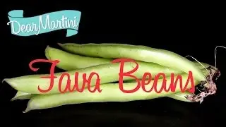 How to Prepare Fava Beans