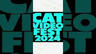Видео с котами в кинотеатрах #сша #интересныефакты