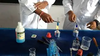 Class 12- Practical- Functional Group Analysis- Aldehyde and Keytone Group