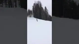 Jake Fernie 2017