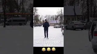 Факт №1 - Самый интересный 😂 