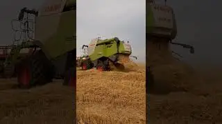 Claas Lexion 630 Montana la recoltat orz