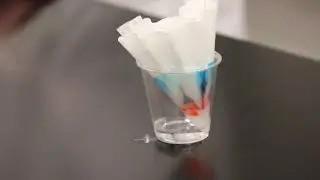 Paper Chromatography at Home