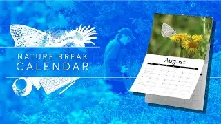 Turning Your Passion Into A 2024 Calendar