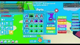 I HACTHED A SECRET LINDWORM DRAGON IN ROBLOX REBIRTH CHAMPIONS X