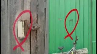 Что? Где? Когда? Вопрос об отверстии в заборе