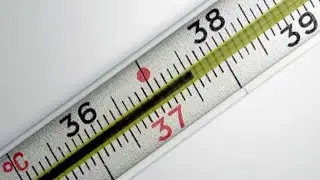Замерло... 37.5