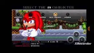 Amy Le Jiafei. Sonic.exe the disaster 2d remake ver.1013