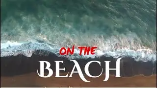 Happy ThanksGiving, a small trip to Carmel Beach, Vlogs from America.