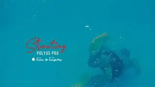 Polyus Pro «Shouting»