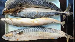 HOW TO WASH MACKEREL FISH AT HOME | MACKEREL FISH BENEFITS | HOW TO CLEAN FRESH MACKEREL FISH