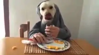 Всем Смотреть! Прикол!))