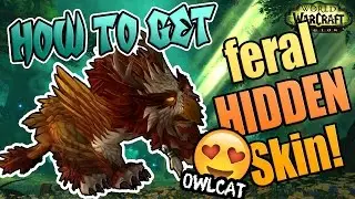 Feral Druid Hidden Artifact Skin & Guide how to get it