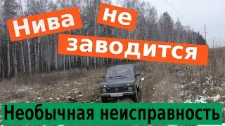 The injection Niva (LADA 4x4) does not start. The gas pump does not work.